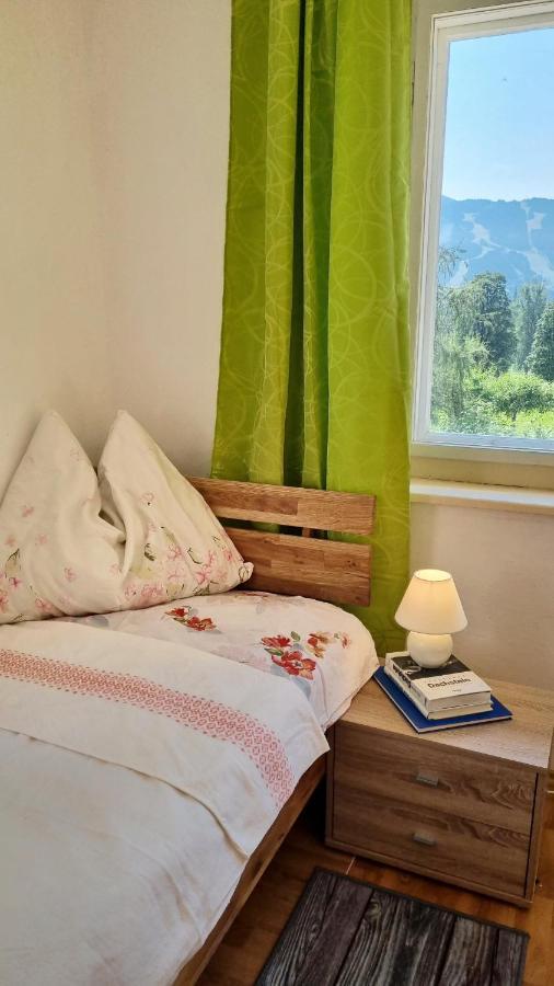 Strasser'S Mountain Home Ramsau am Dachstein Exterior photo
